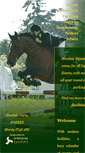 Mobile Screenshot of mundoleequestrian.com